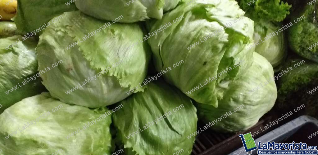 Lechuga batavia