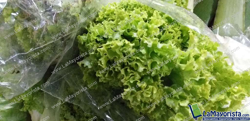 Lechuga crespa