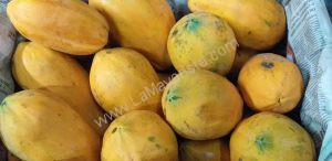 Papaya valenciana