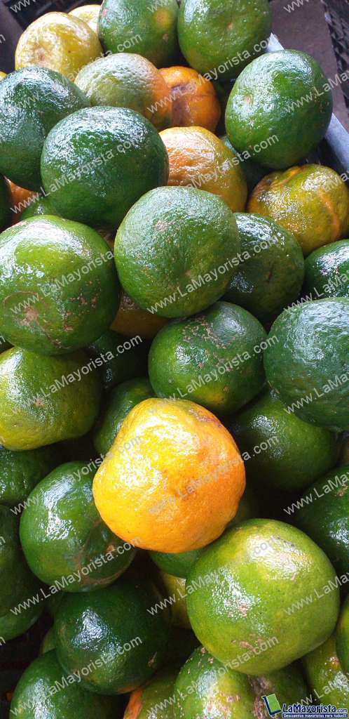 Naranja washinton