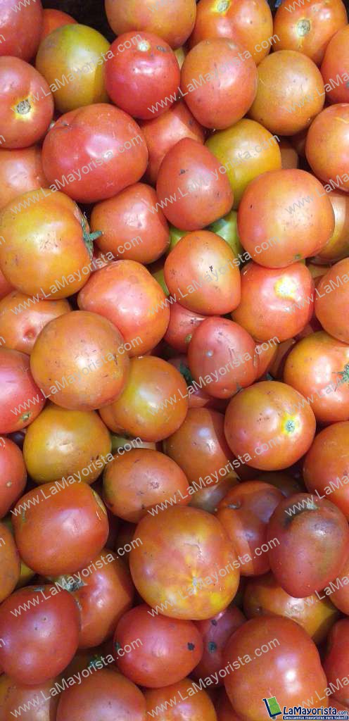 Tomate parejo 2da