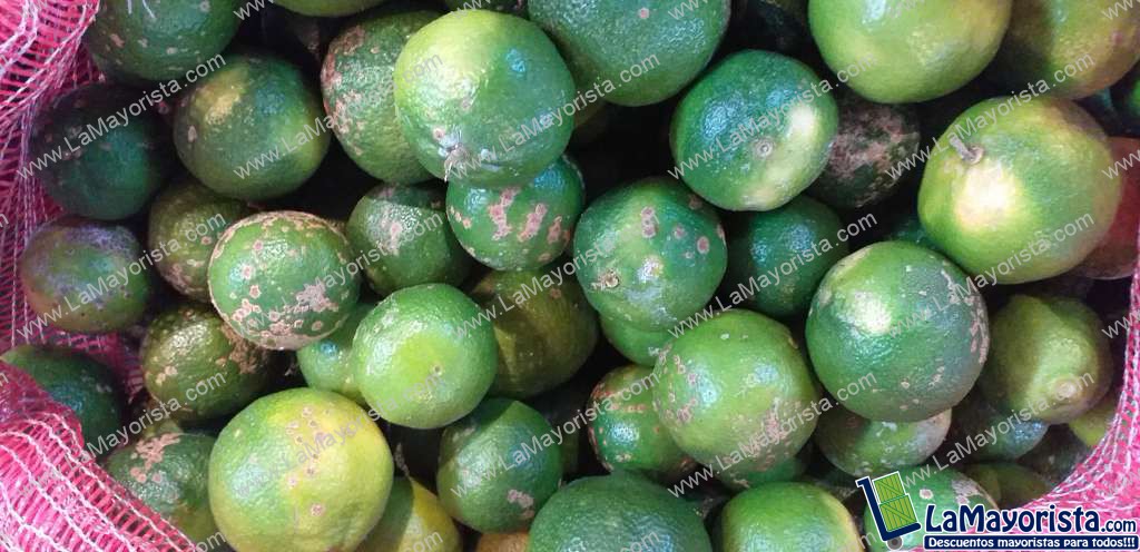 Limon mandarino