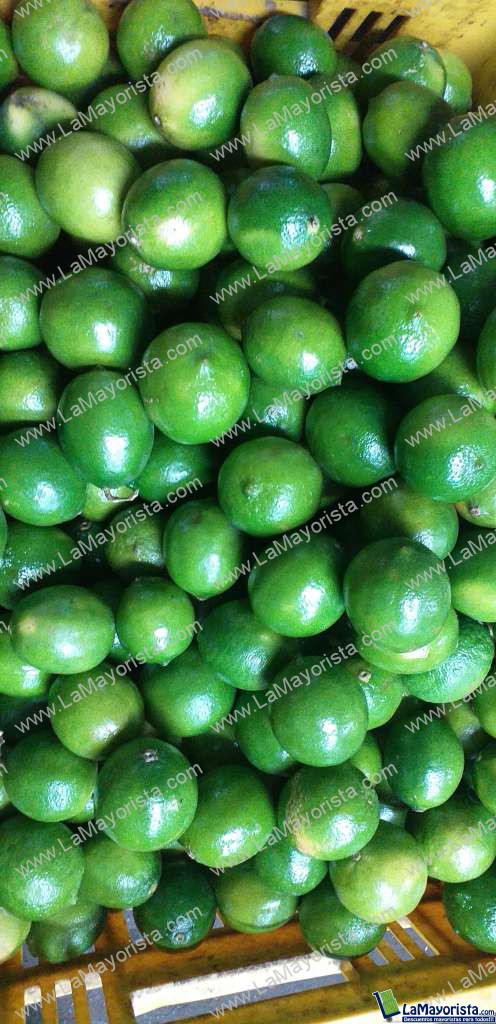 Limon tahiti
