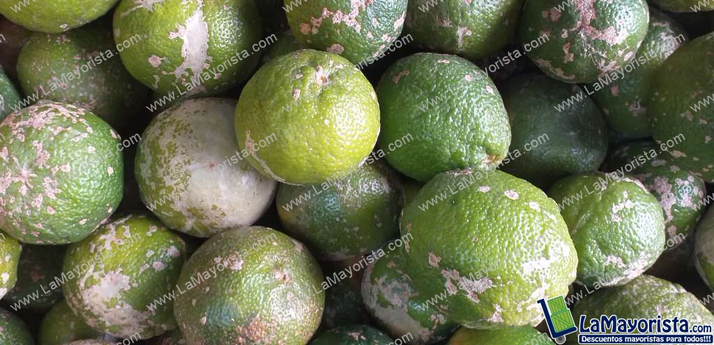 Limon mandarino