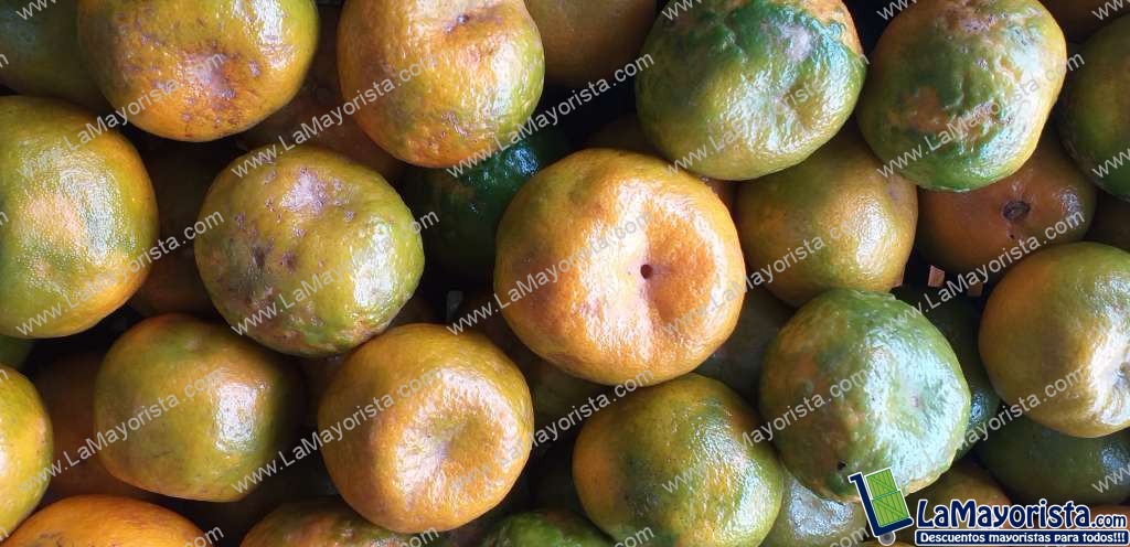 Mandarina oneca
