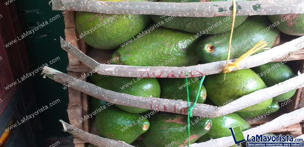 Aguacate santana