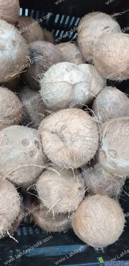 Coco referencia grande