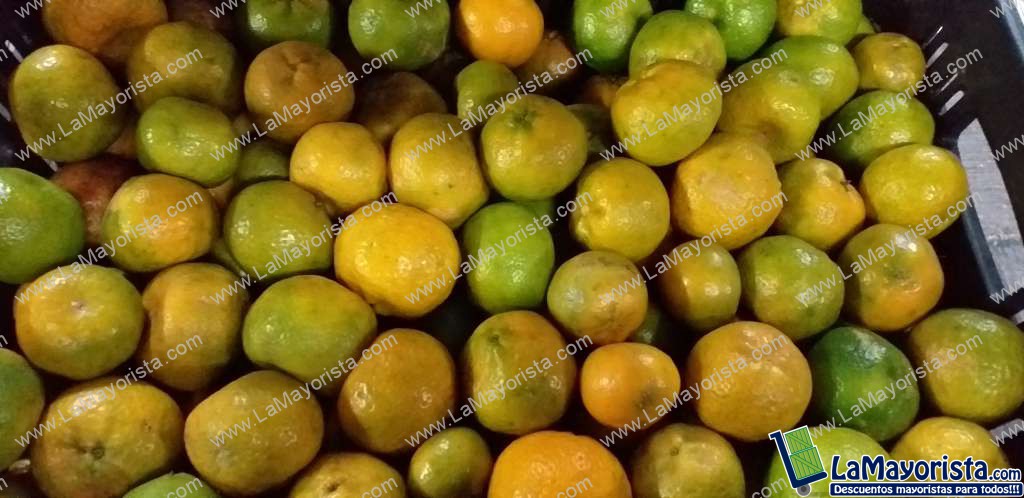 Mandarina criolla