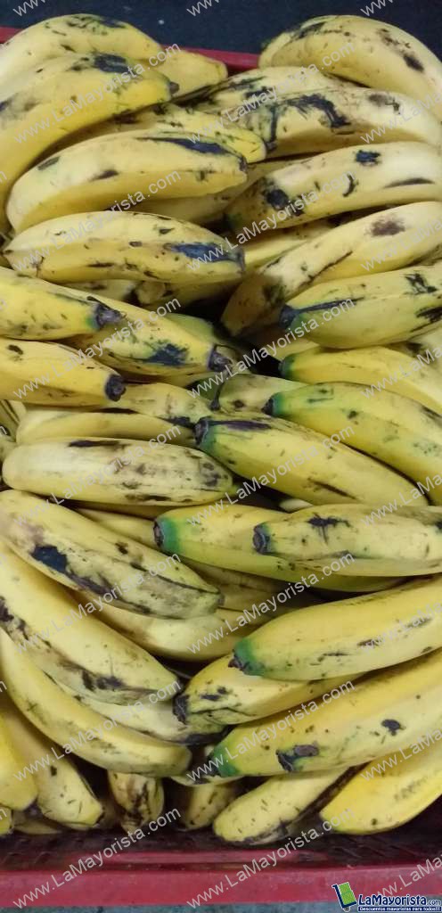 Banano