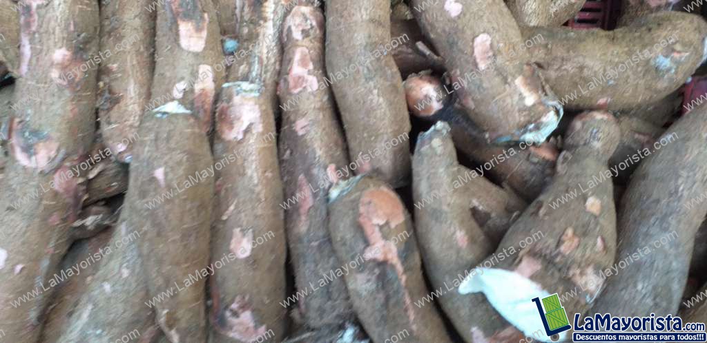 Yuca