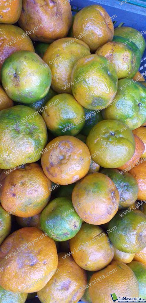 Mandarina oneca