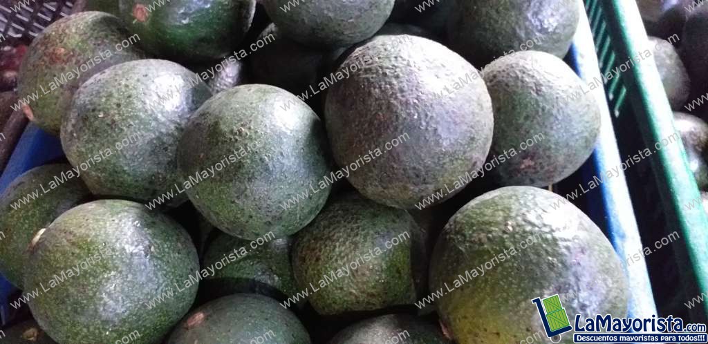 Aguacate fuerte ( guatemalteco)