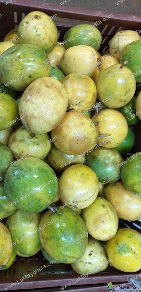 Maracuya