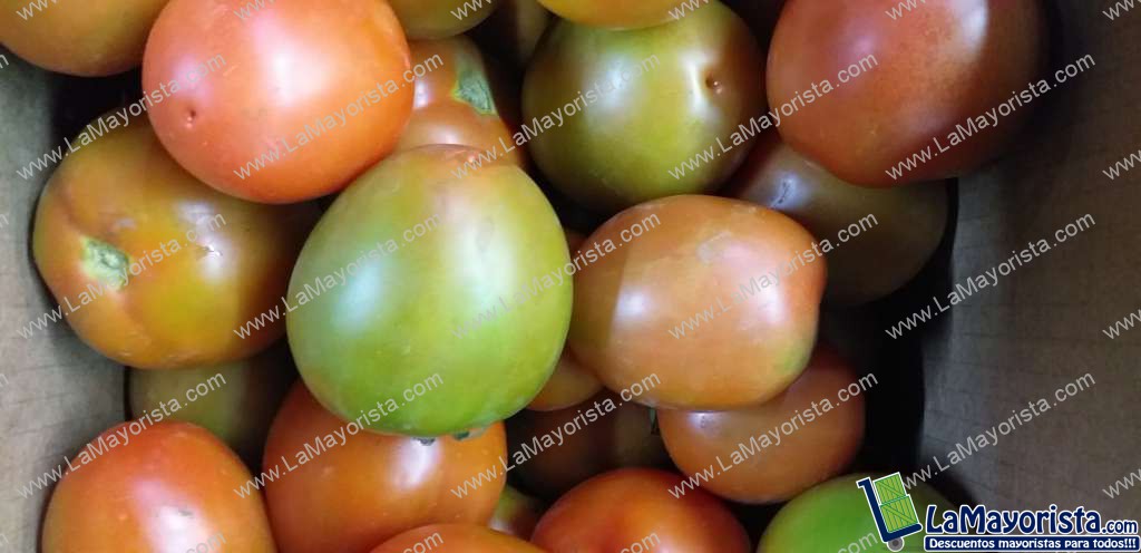 Tomate de aliño