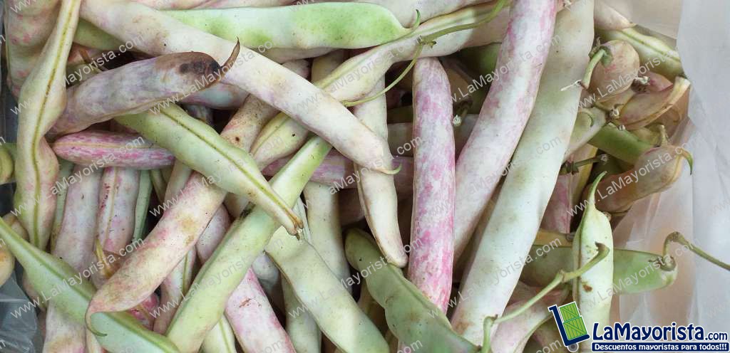 Frijol verde en vaina