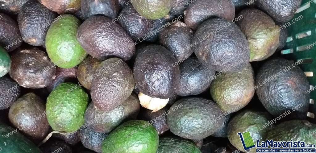 Aguacate hass