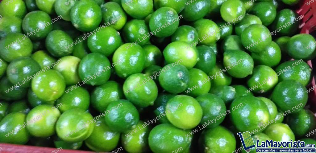 Limon tahiti