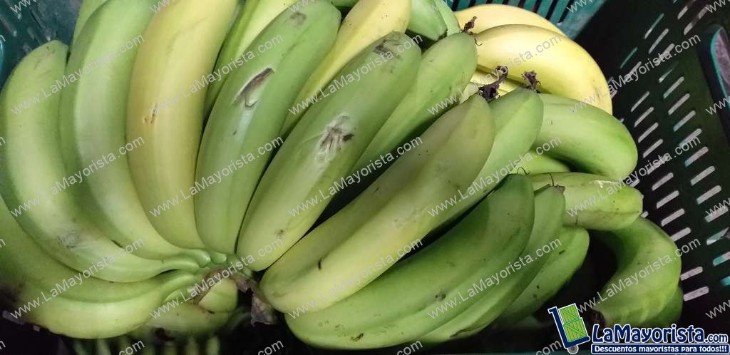 Banano criollo