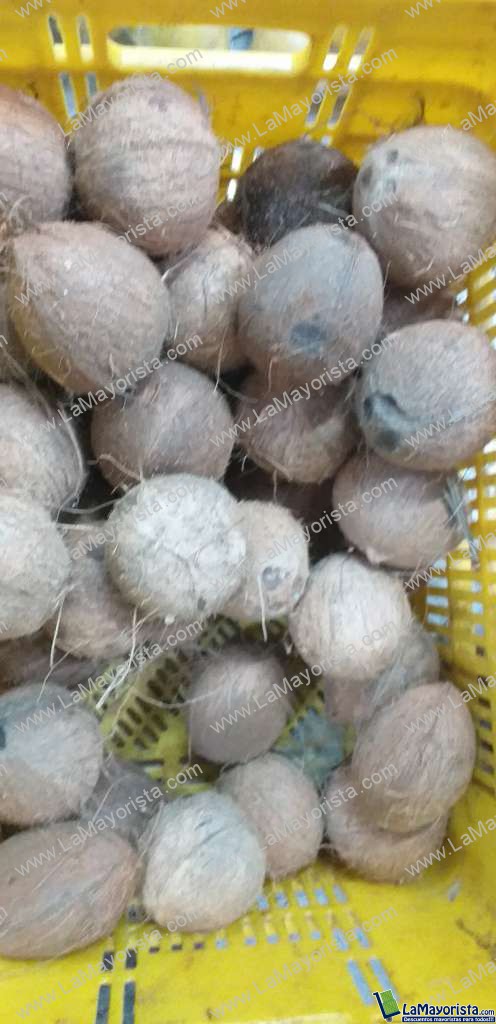 Coco referencia mediano