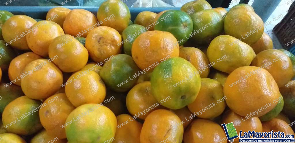 Mandarina oneca