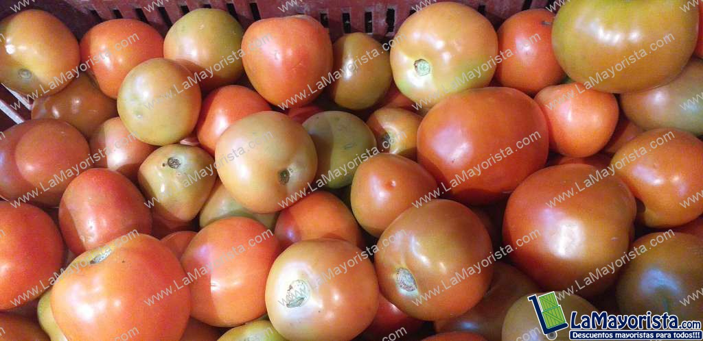Tomate parejo