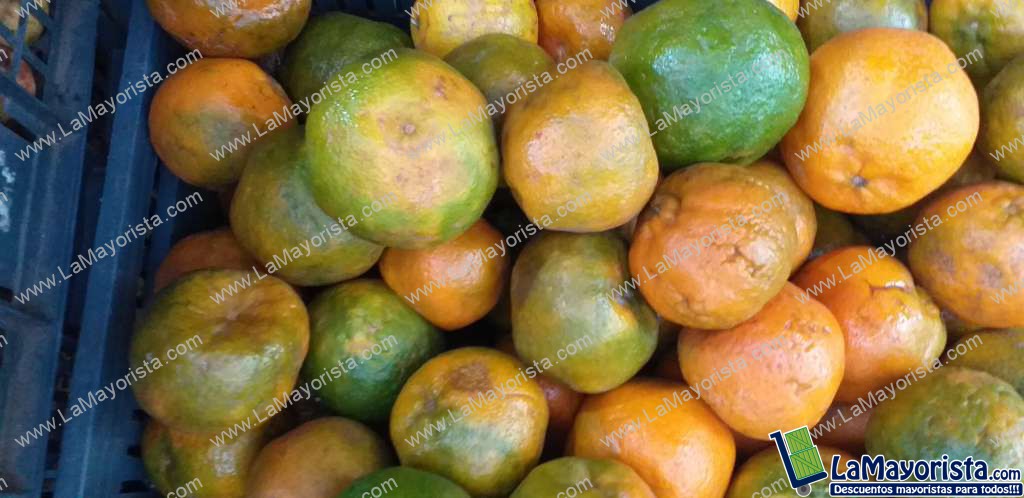 Mandarina oneca