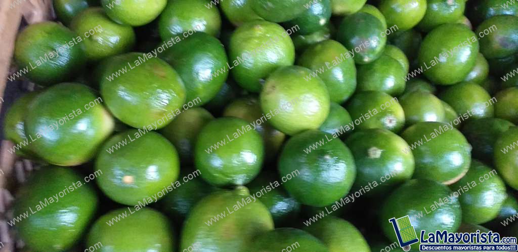 Limon tahiti