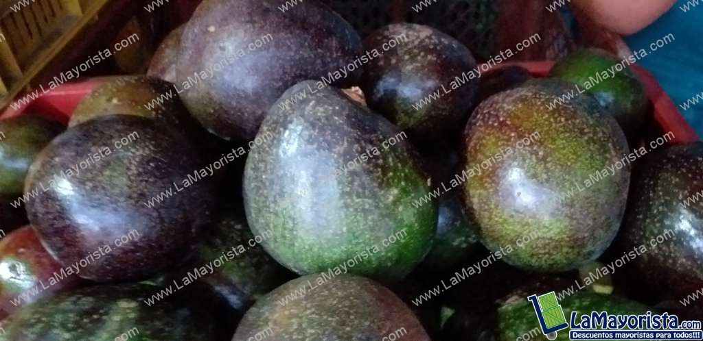 Aguacate collin