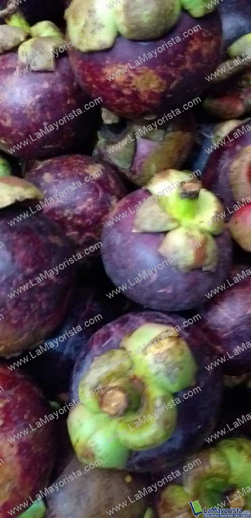 Mangostino