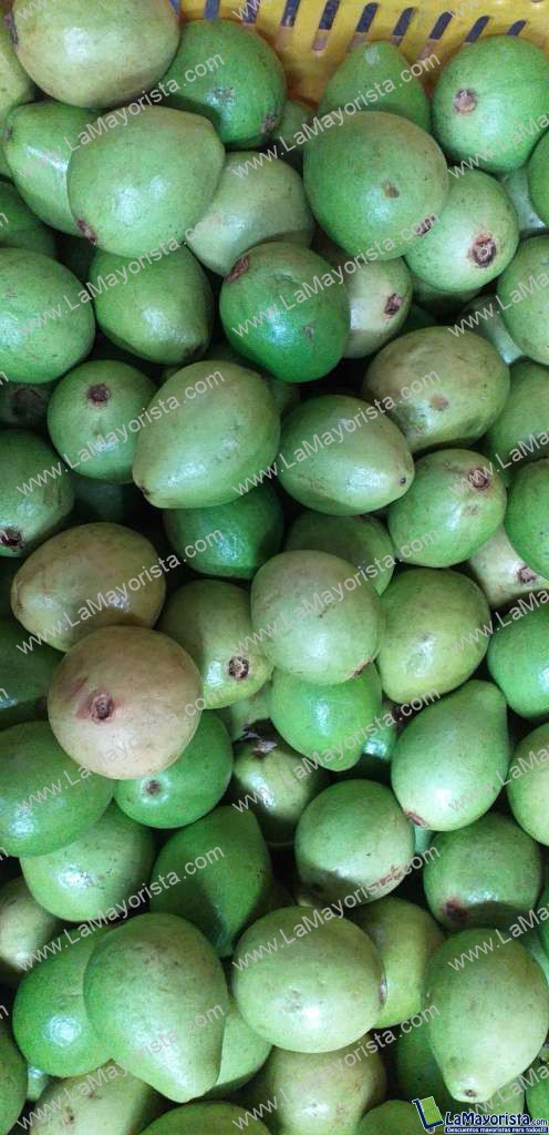 Guayaba