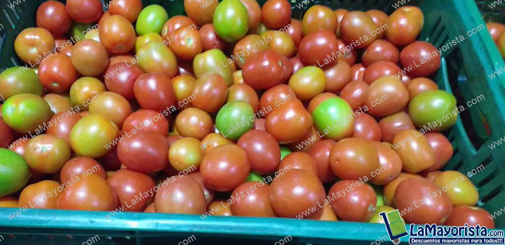 Tomate chonto parejo