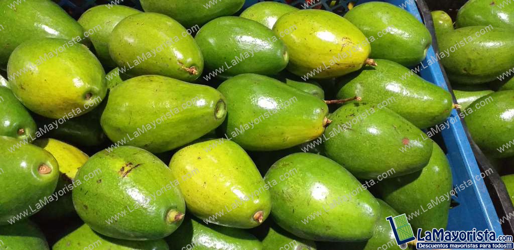 Aguacate papelillo