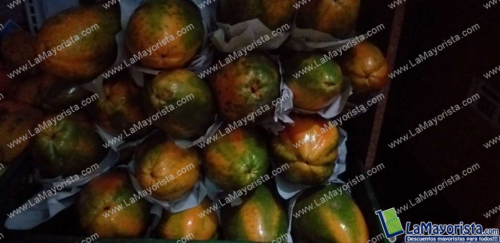 Papaya maradol