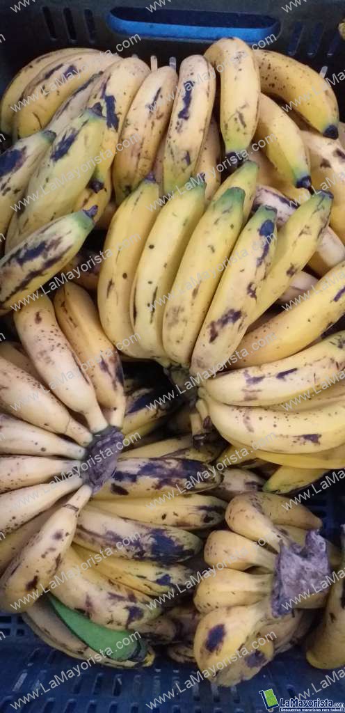 Banano