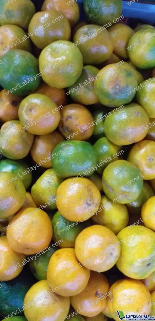 Mandarina