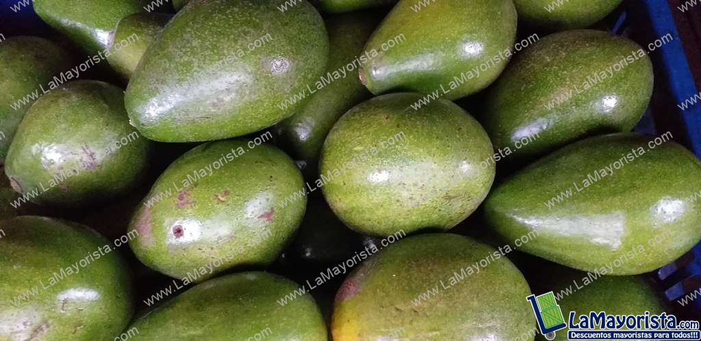 Aguacate papelillo