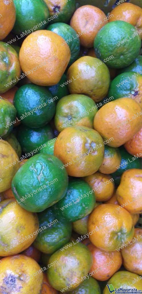Mandarina