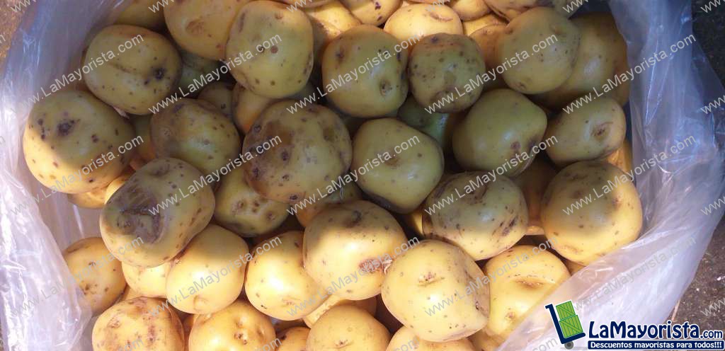Papa criolla gruesa