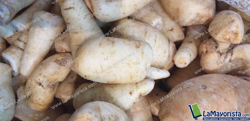 Arracacha seleccionada