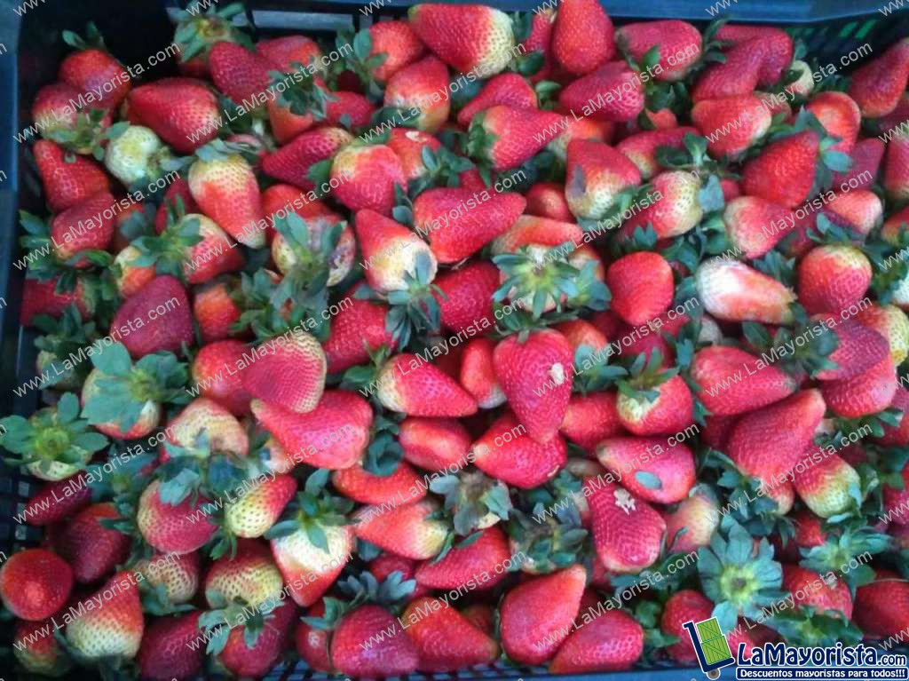 fresas de primera