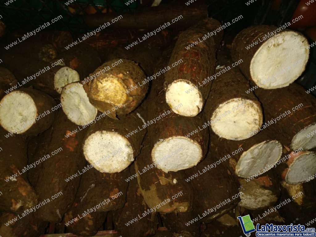 Yuca