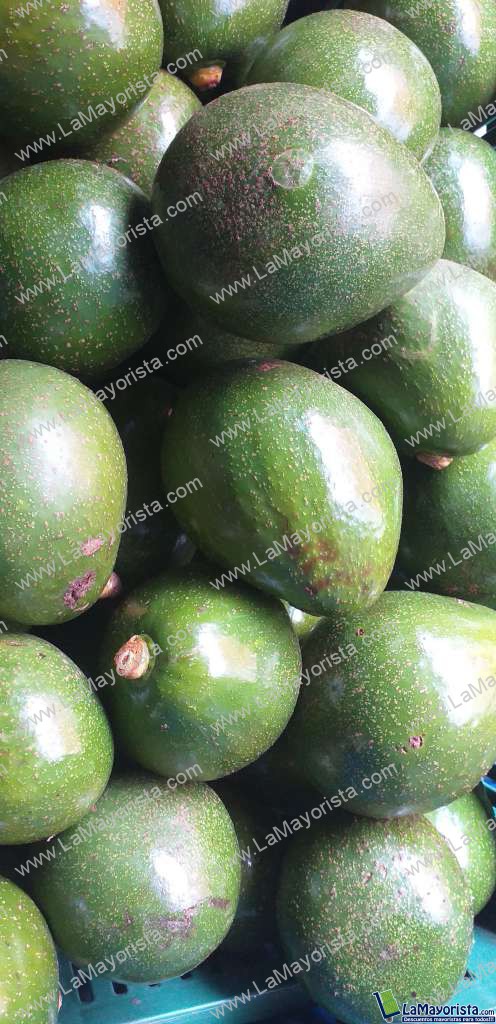 Aguacate colín maduro
