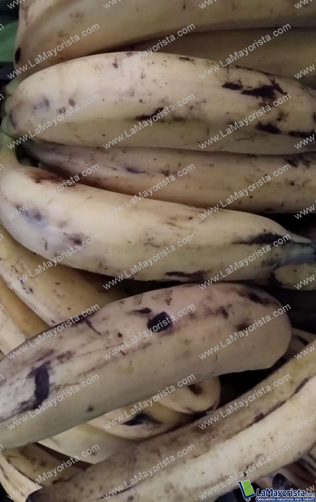 Banano criollo