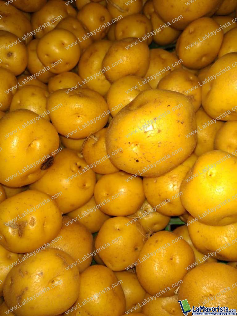 Papa criolla