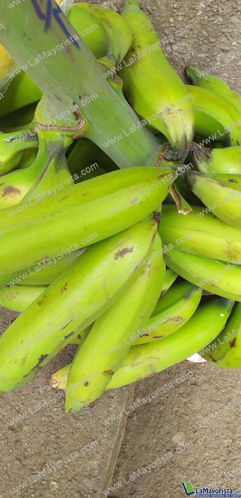 Platano verde