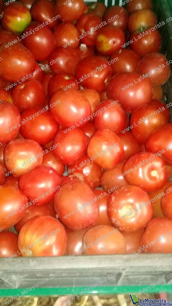 Tomate de aliño