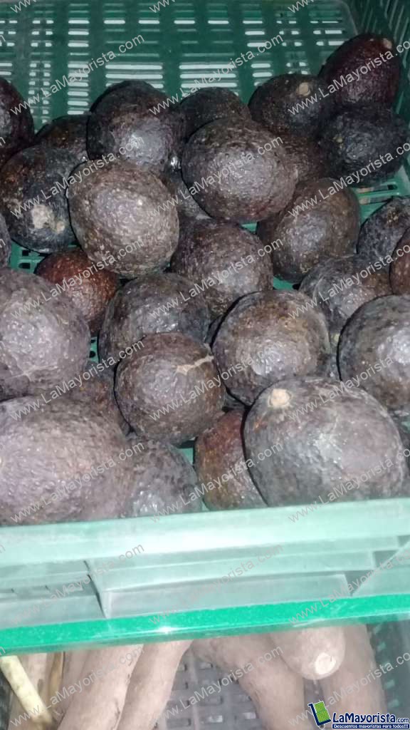 Aguacate hass