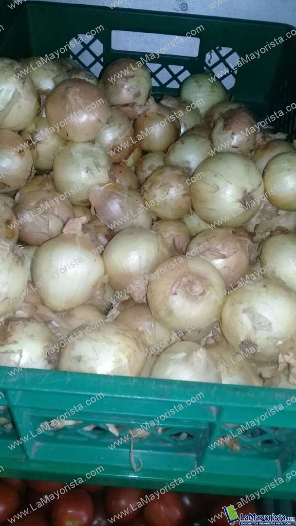 Cebolla de huevo blanca