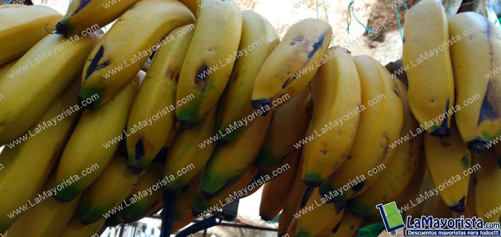 Banano criollo