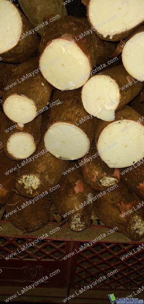 Yuca
